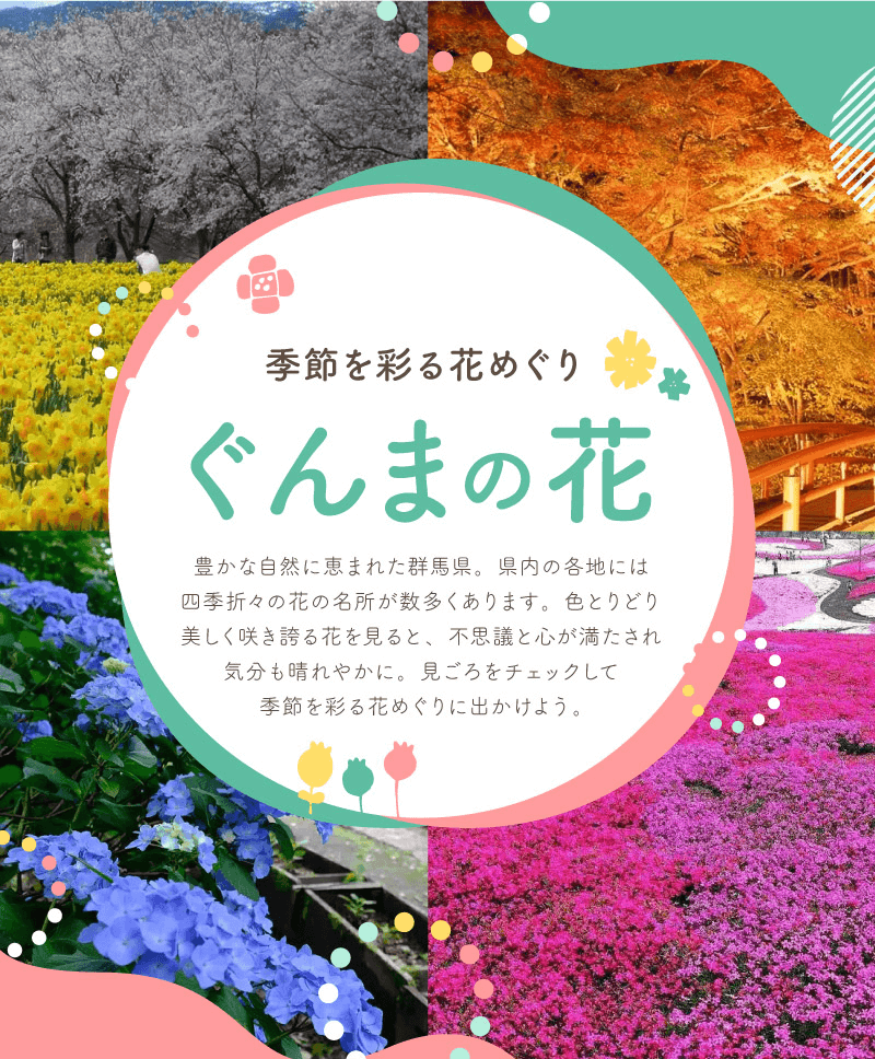 季節を彩る花めぐり ぐんまの花｜豊かな自然に恵まれた群馬県。県内の各地には四季折々の花の名所が数多くあります。色とりどり美しく咲き誇る花を見ると、不思議を心が満たされる気分も晴れやかに。見ごろをチェックして季節彩る花めぐりに出かけよう。