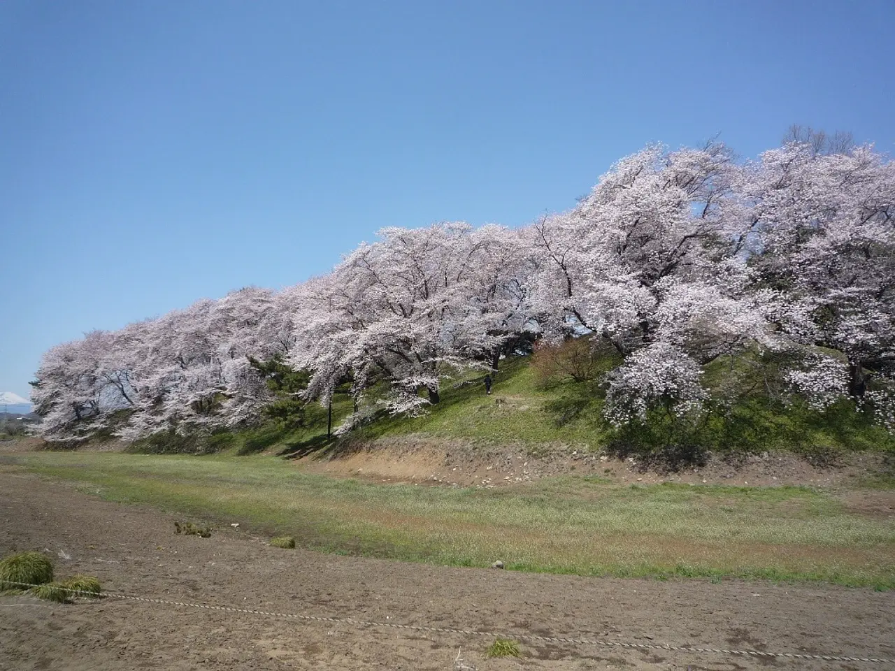 七輿山古墳（1）（藤岡市）