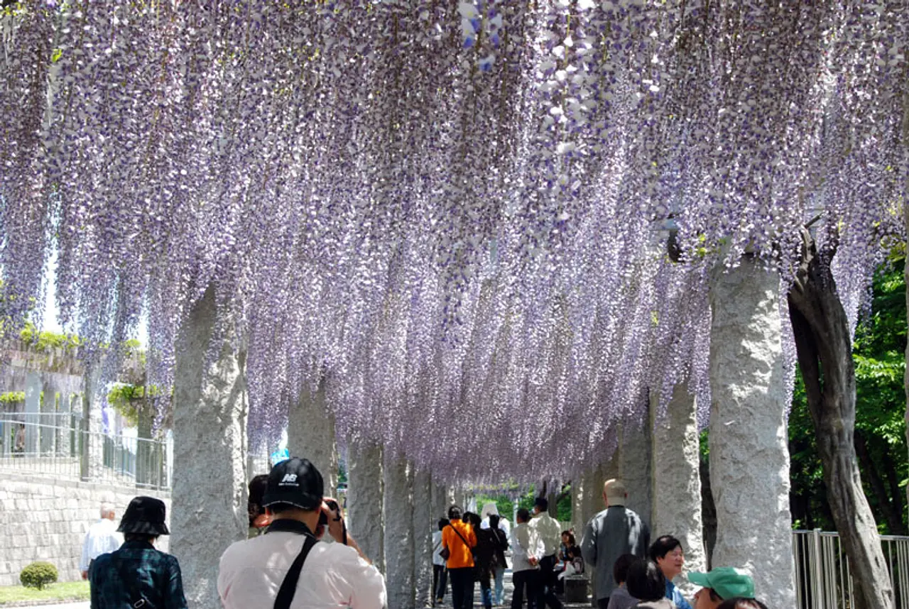 ふじふれあい館（1）（藤岡市）