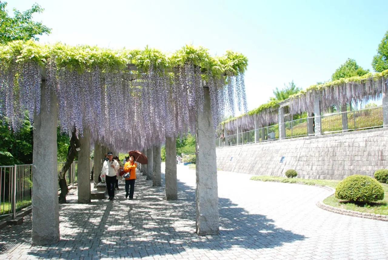 ふじふれあい館（3）（藤岡市）