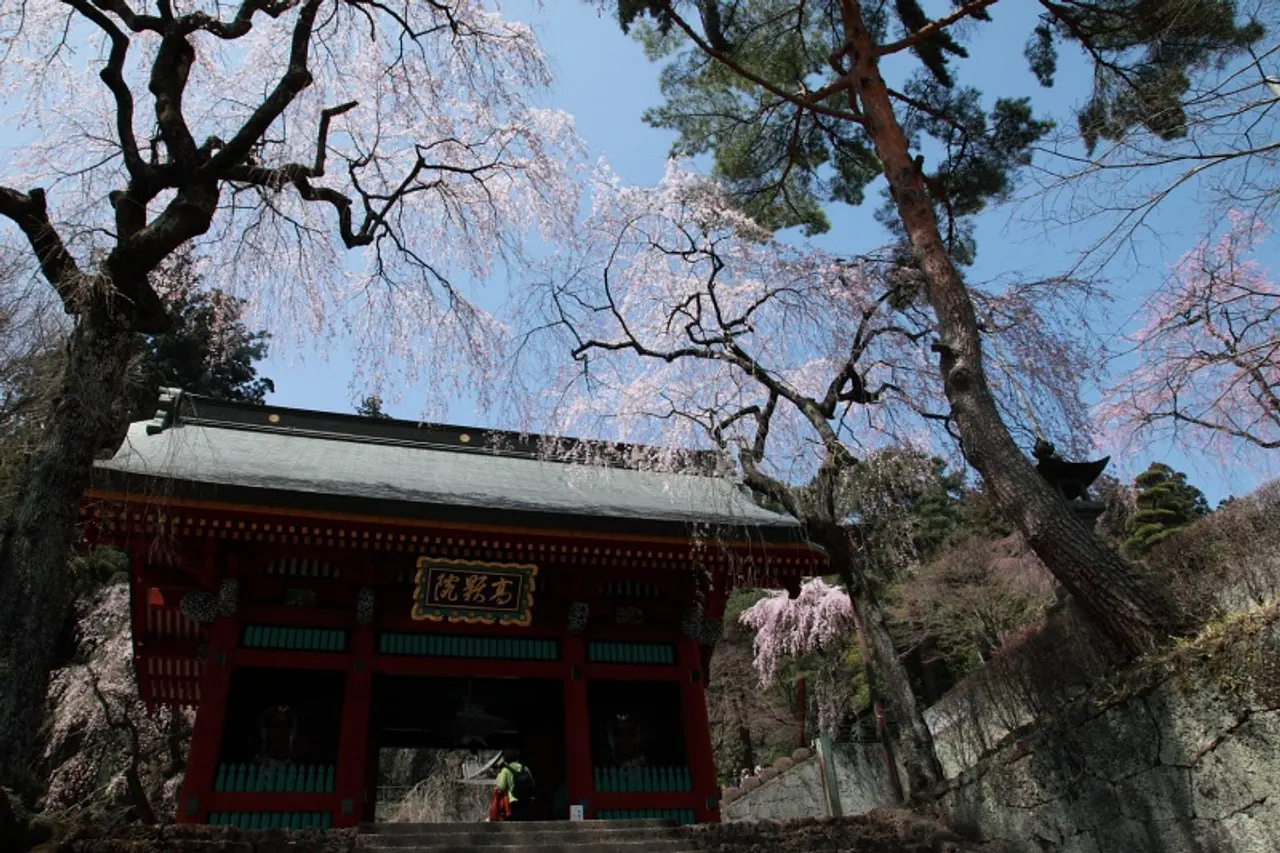 妙義神社（3）（富岡市）