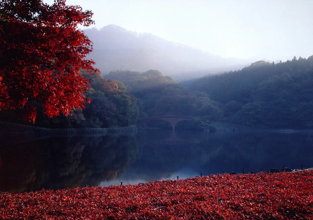 碓氷湖　秋（1）（安中市）