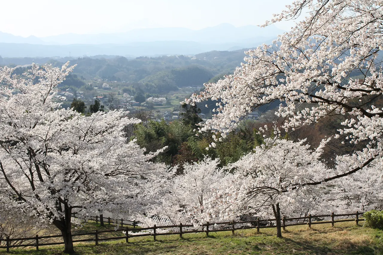 後閑城址公園（安中市）