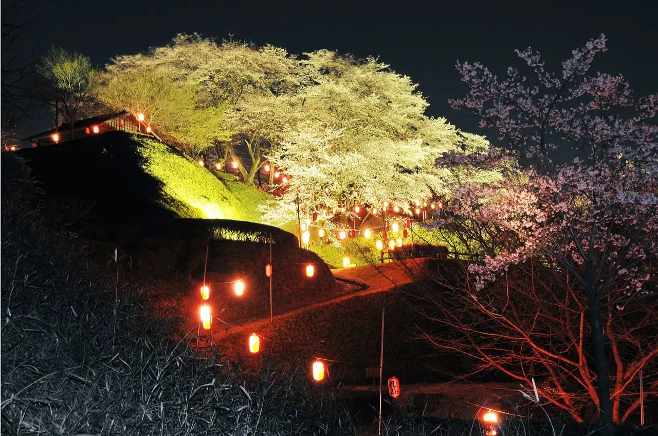 後閑城址公園の夜桜（安中市）