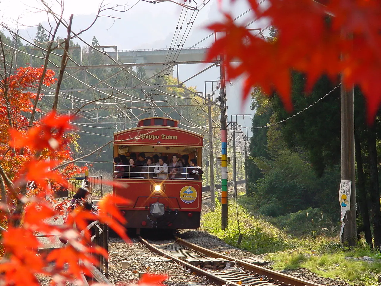 碓氷峠鉄道文化むら　紅葉のトロッコ列車（安中市）