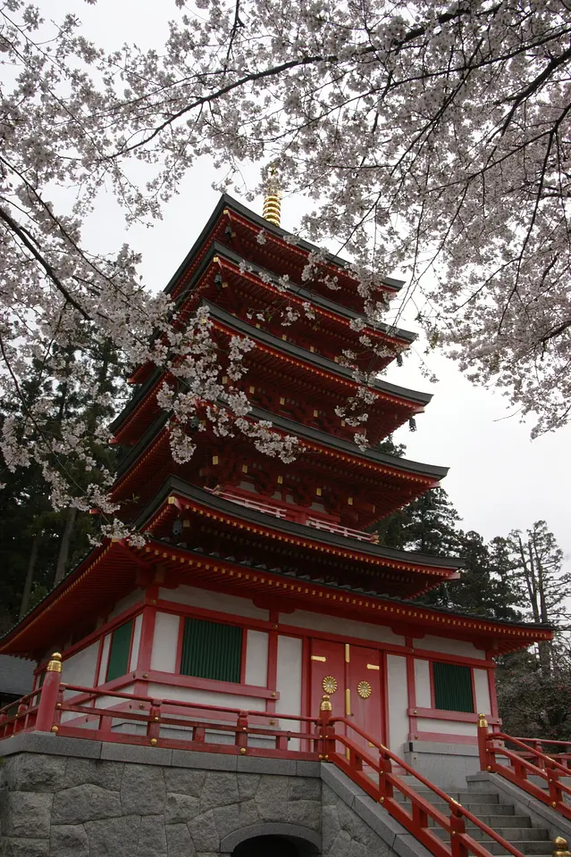 柳澤寺　桜（2）（榛東村）