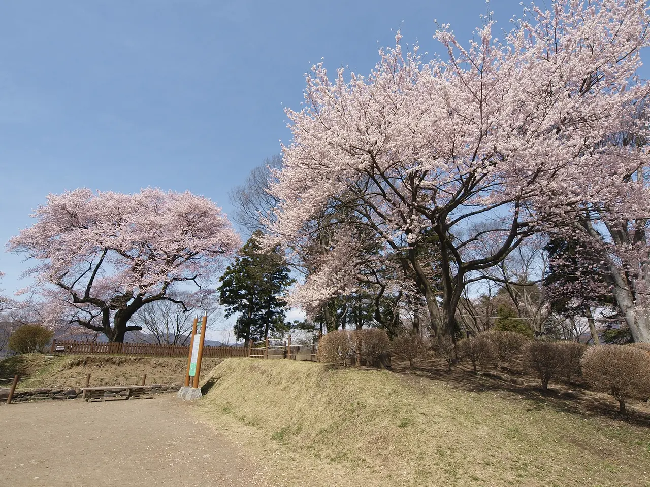 沼田公園 （1）（沼田市）