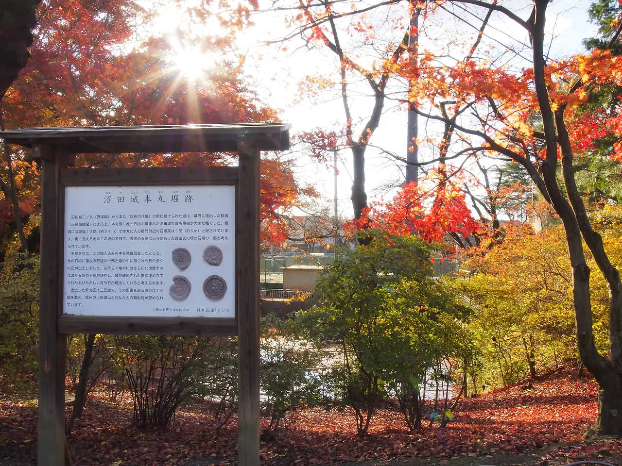 沼田公園 （5）（沼田市）