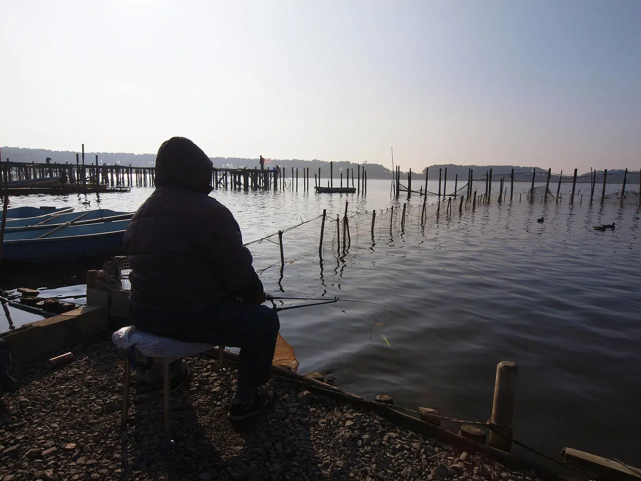 多々良沼　へらぶな釣り（館林市）