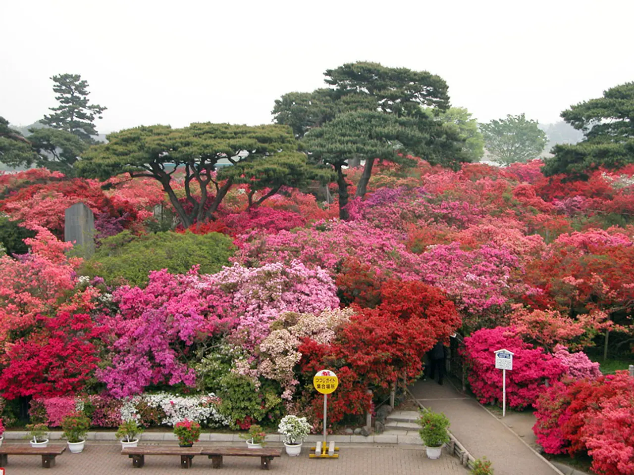 つつじが岡公園（1）（館林市）