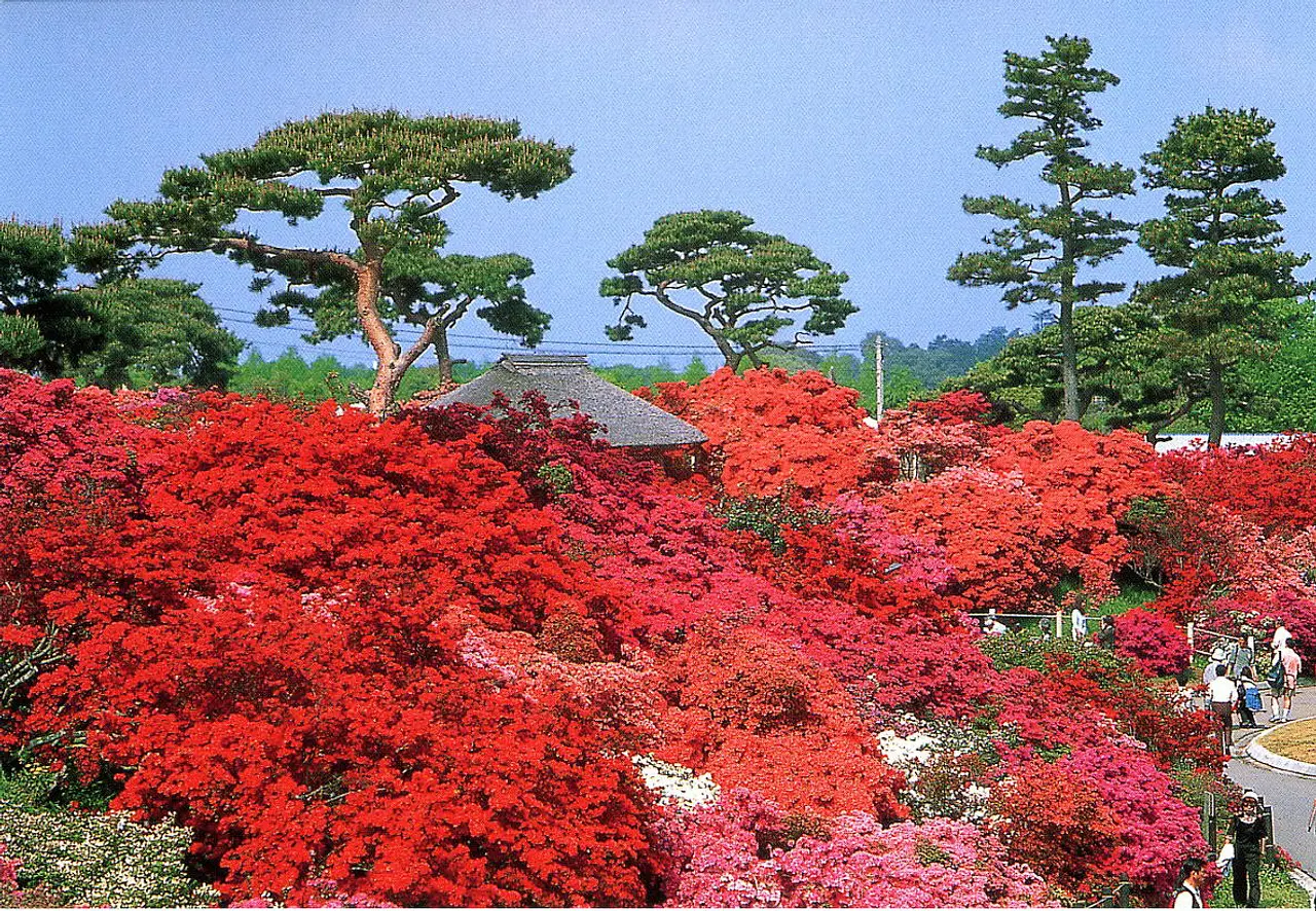 つつじが岡公園（2）（館林市）