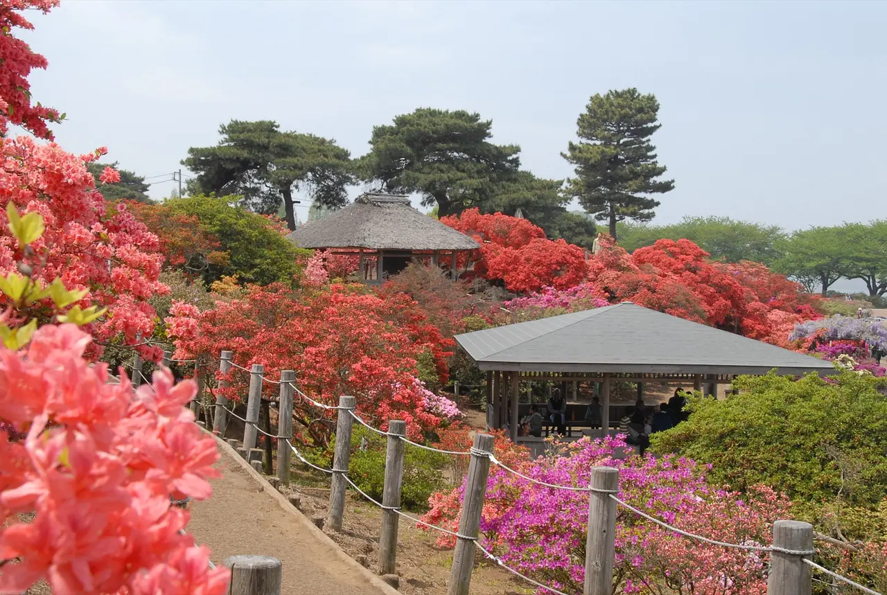 つつじが岡公園（4）（館林市）