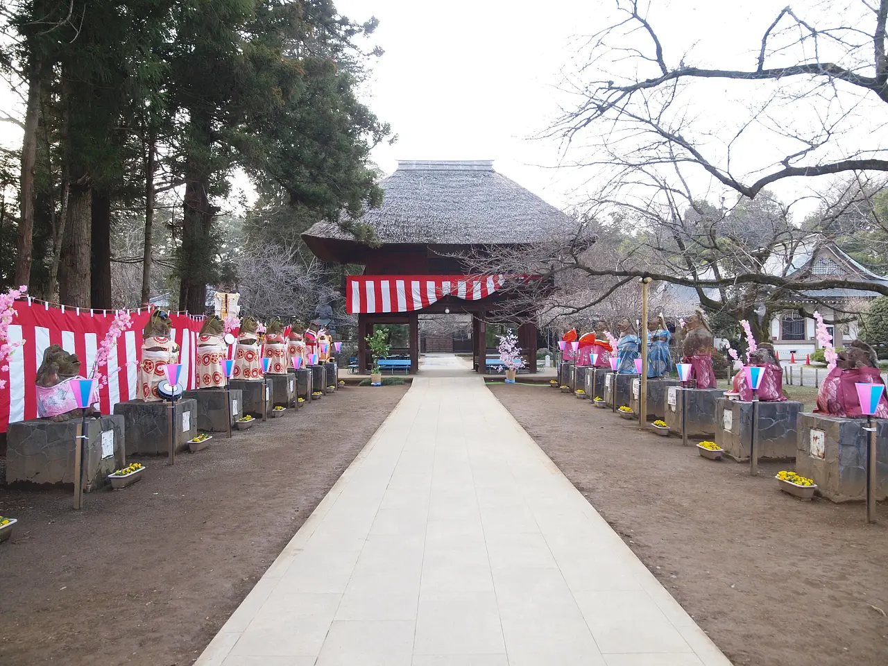 茂林寺　たぬきのひな祭り（1）（館林市）