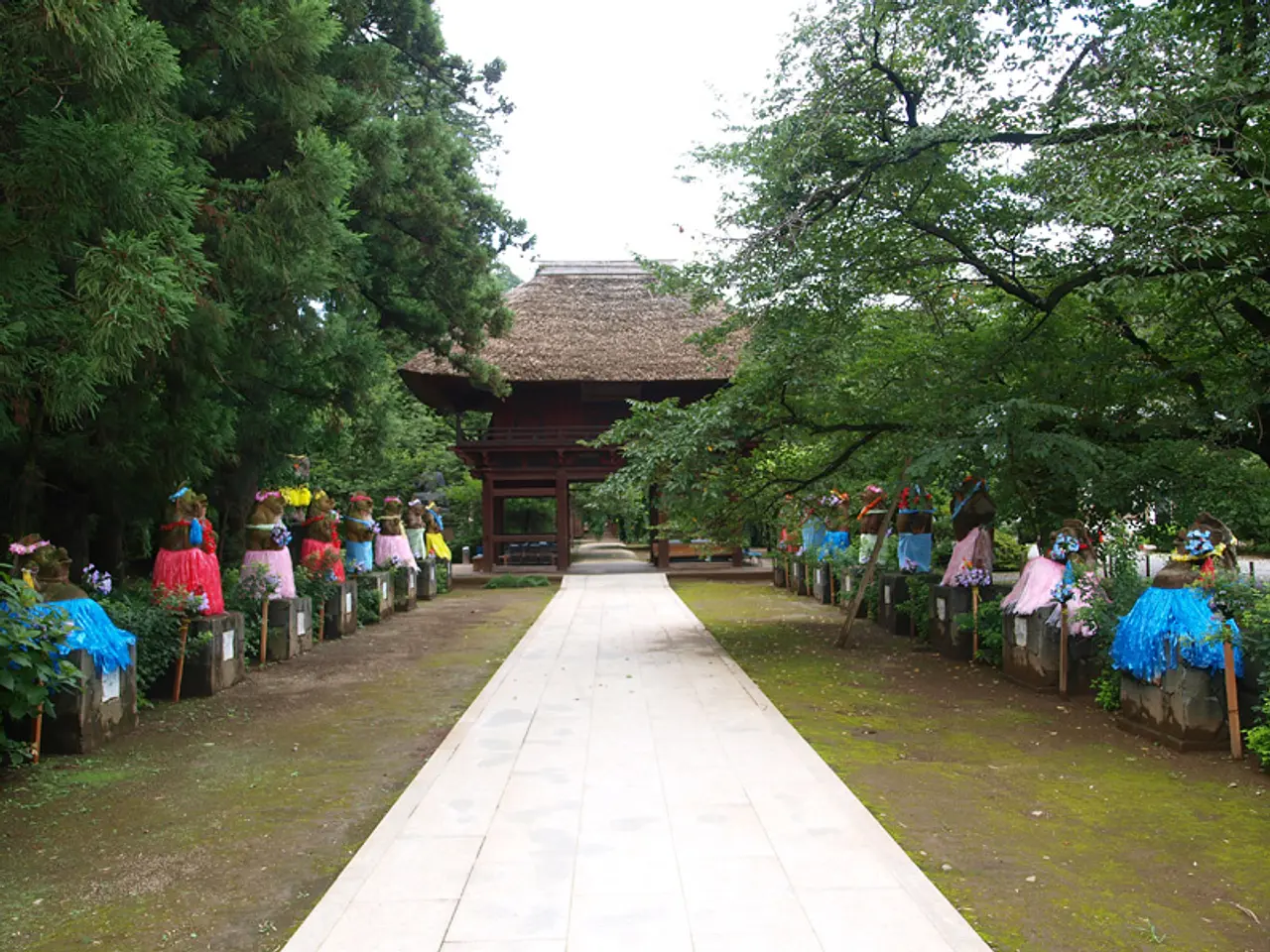 茂林寺　フラダンス狸像（1）（館林市）