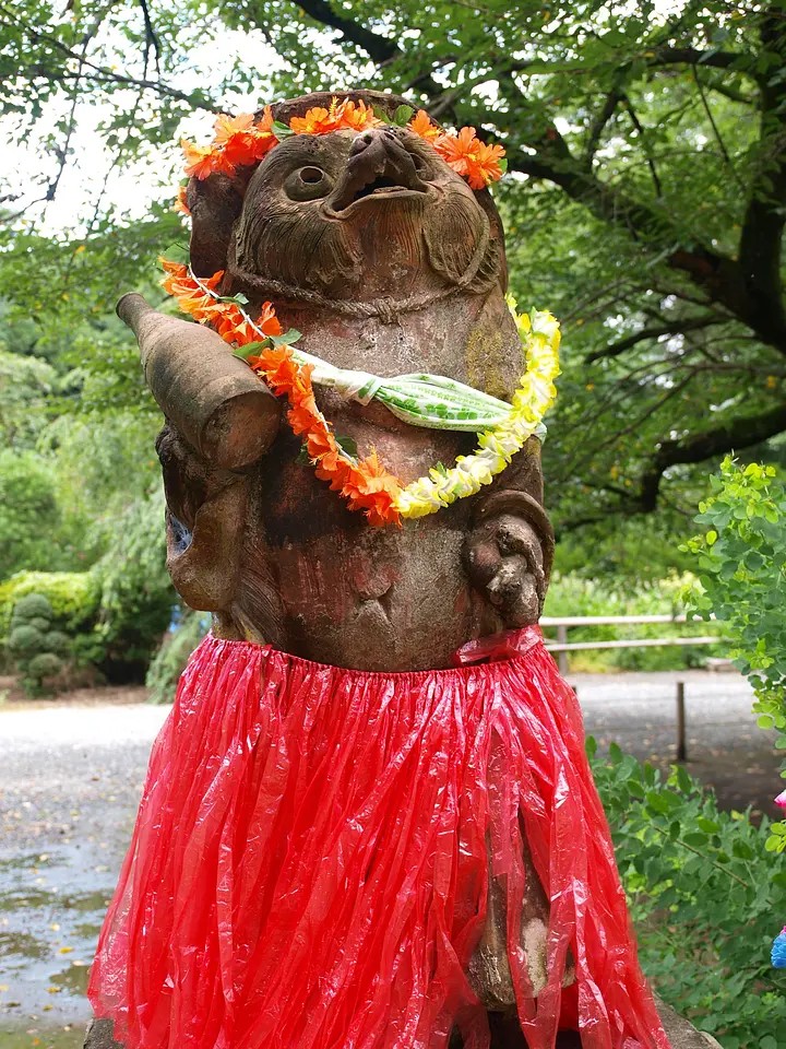 茂林寺　フラダンス狸像（2）（館林市）