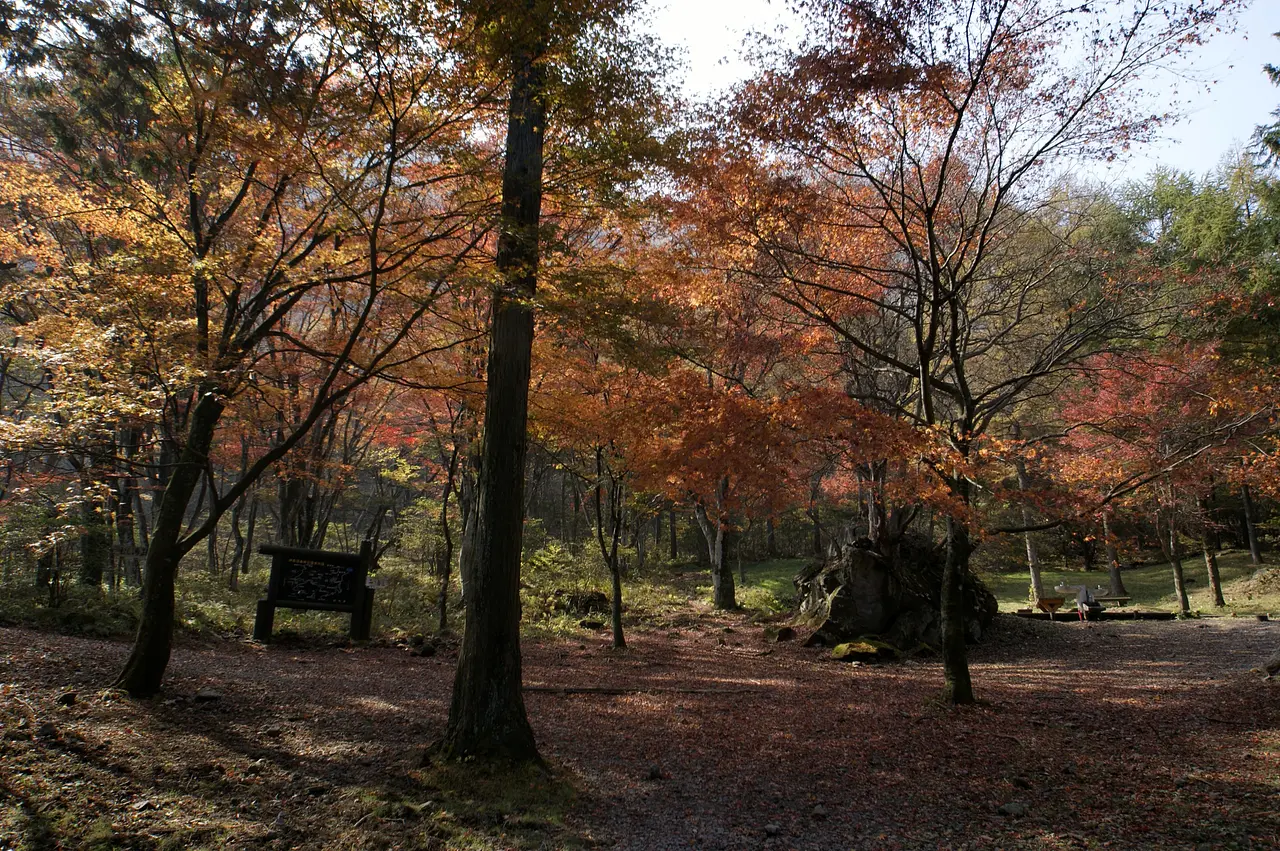 伊香保森林公園（渋川市）