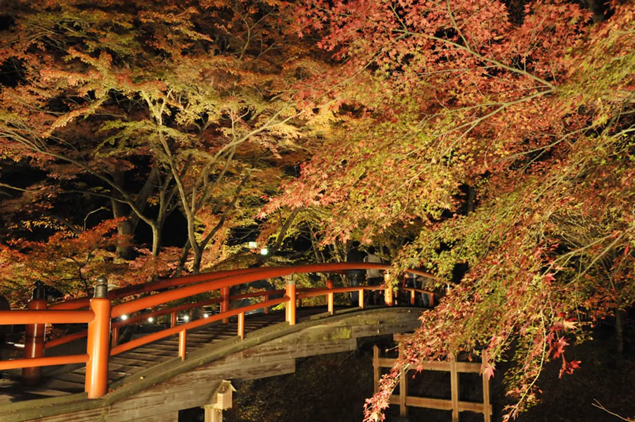 河鹿橋紅葉（1）（渋川市）