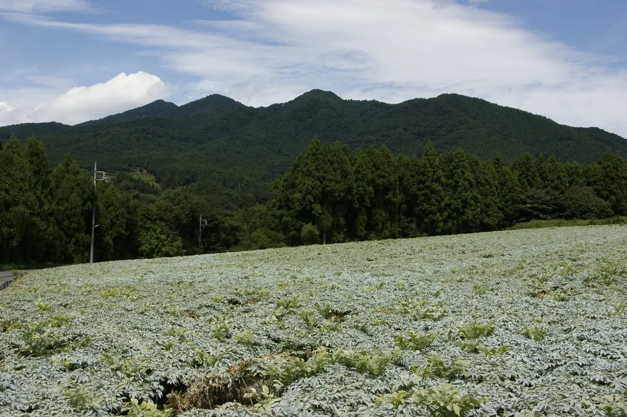 子持山（渋川市）