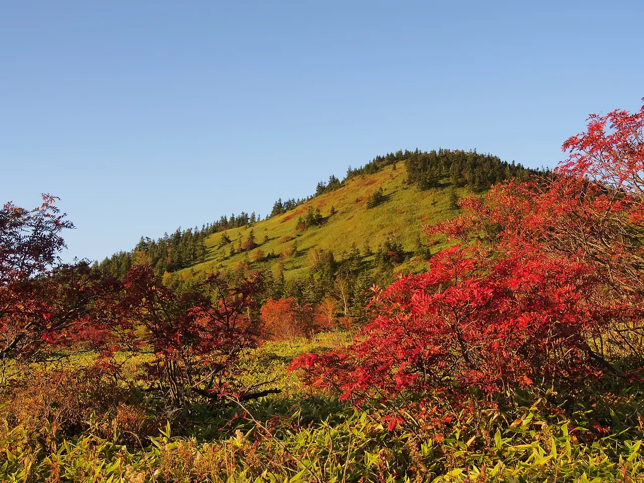 草津白根山（本白根山）（3）（草津町）