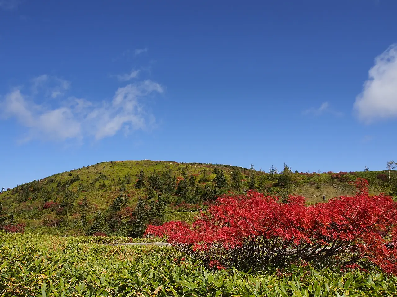 草津白根山（本白根山）（4）（草津町）