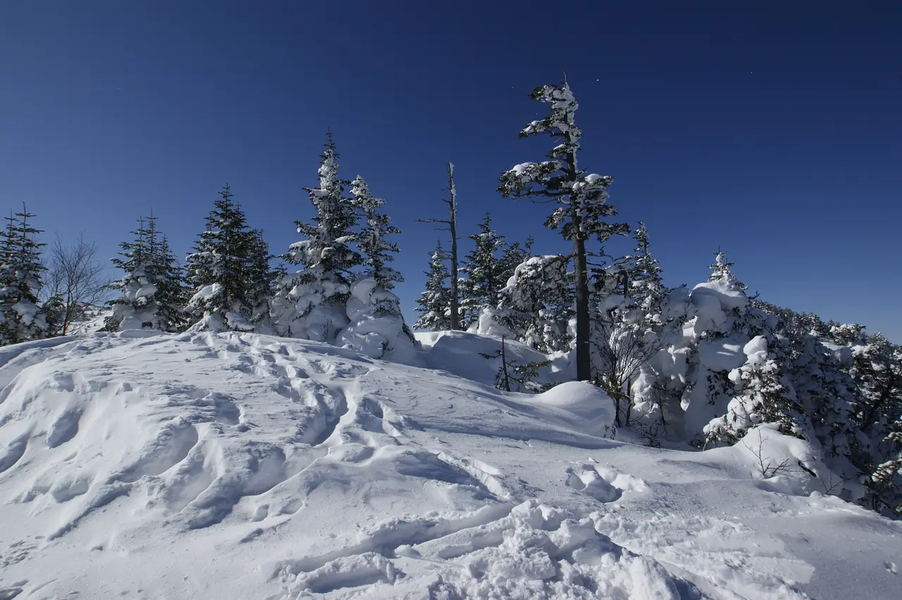 草津白根山（本白根山）樹氷（1）（草津町）