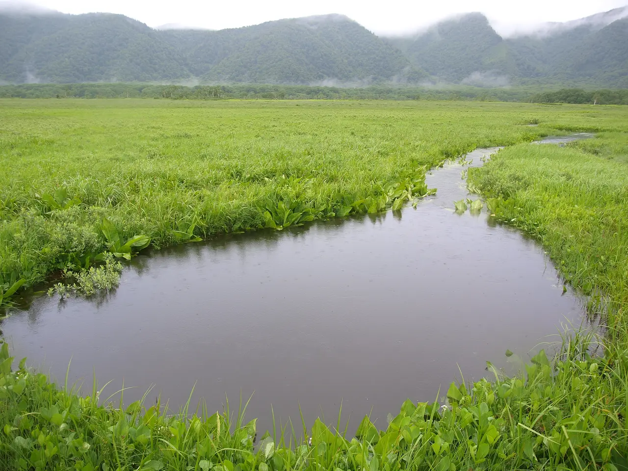 尾瀬　竜宮伏流水（片品村）