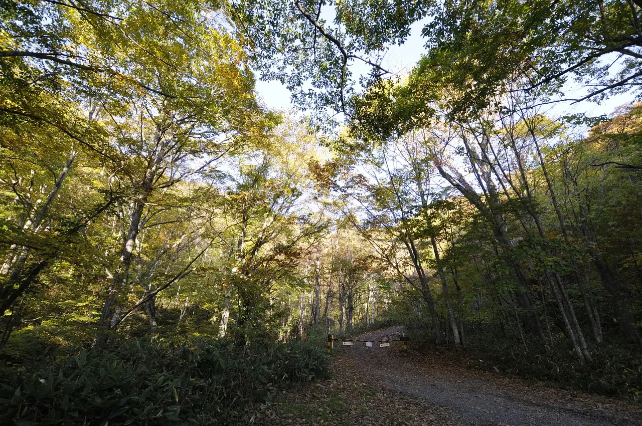 尾瀬　富士見下（片品村）