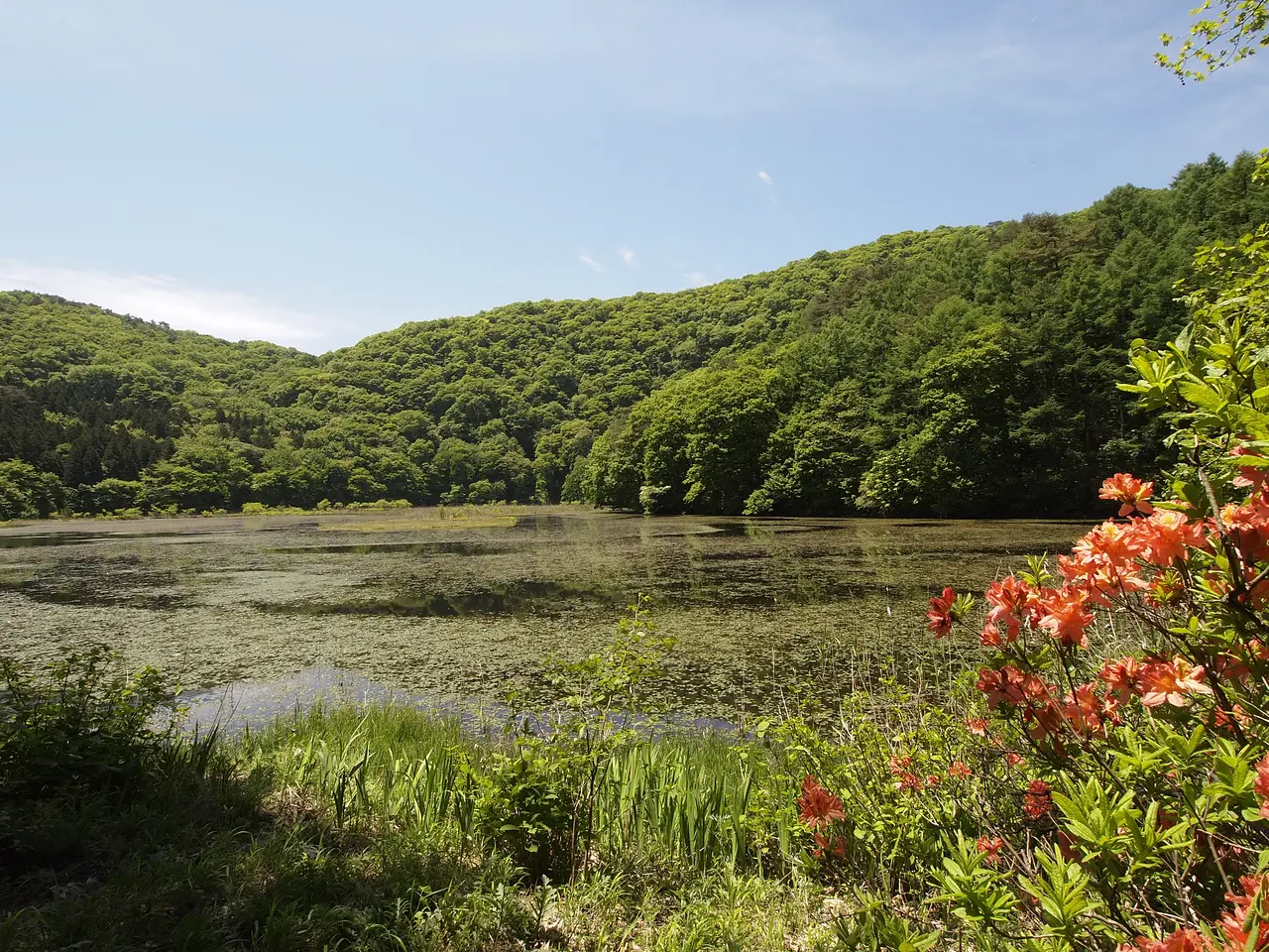 大峰沼（みなかみ町）