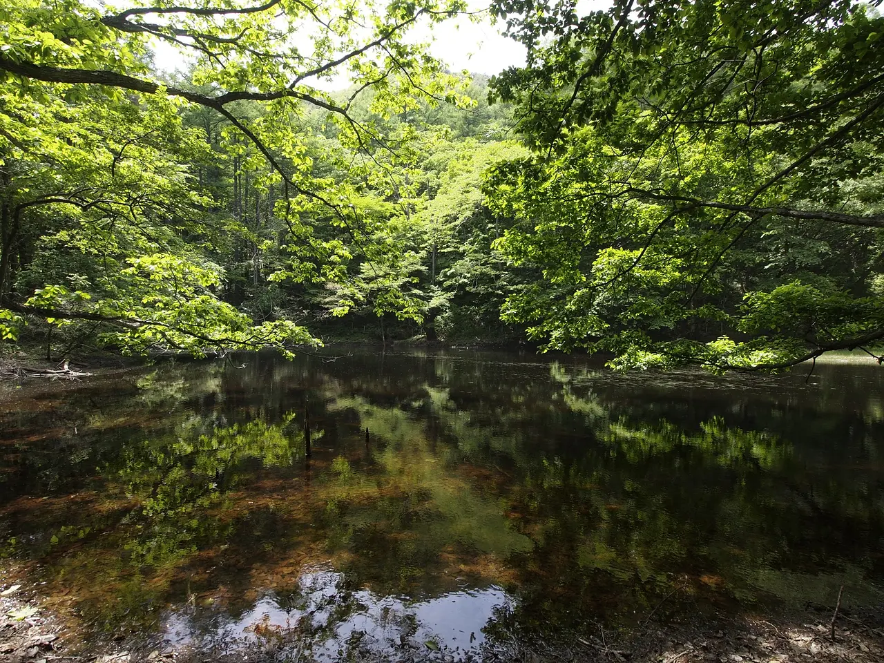 大峰山　古沼（みなかみ町）