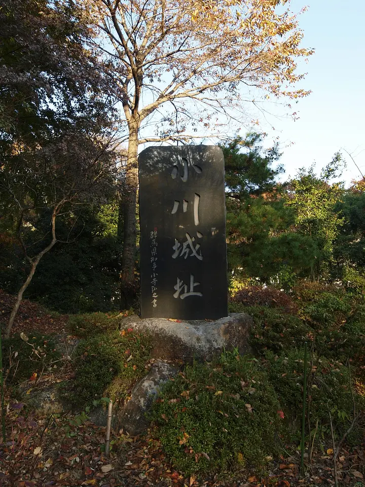 小川城跡（みなかみ町）