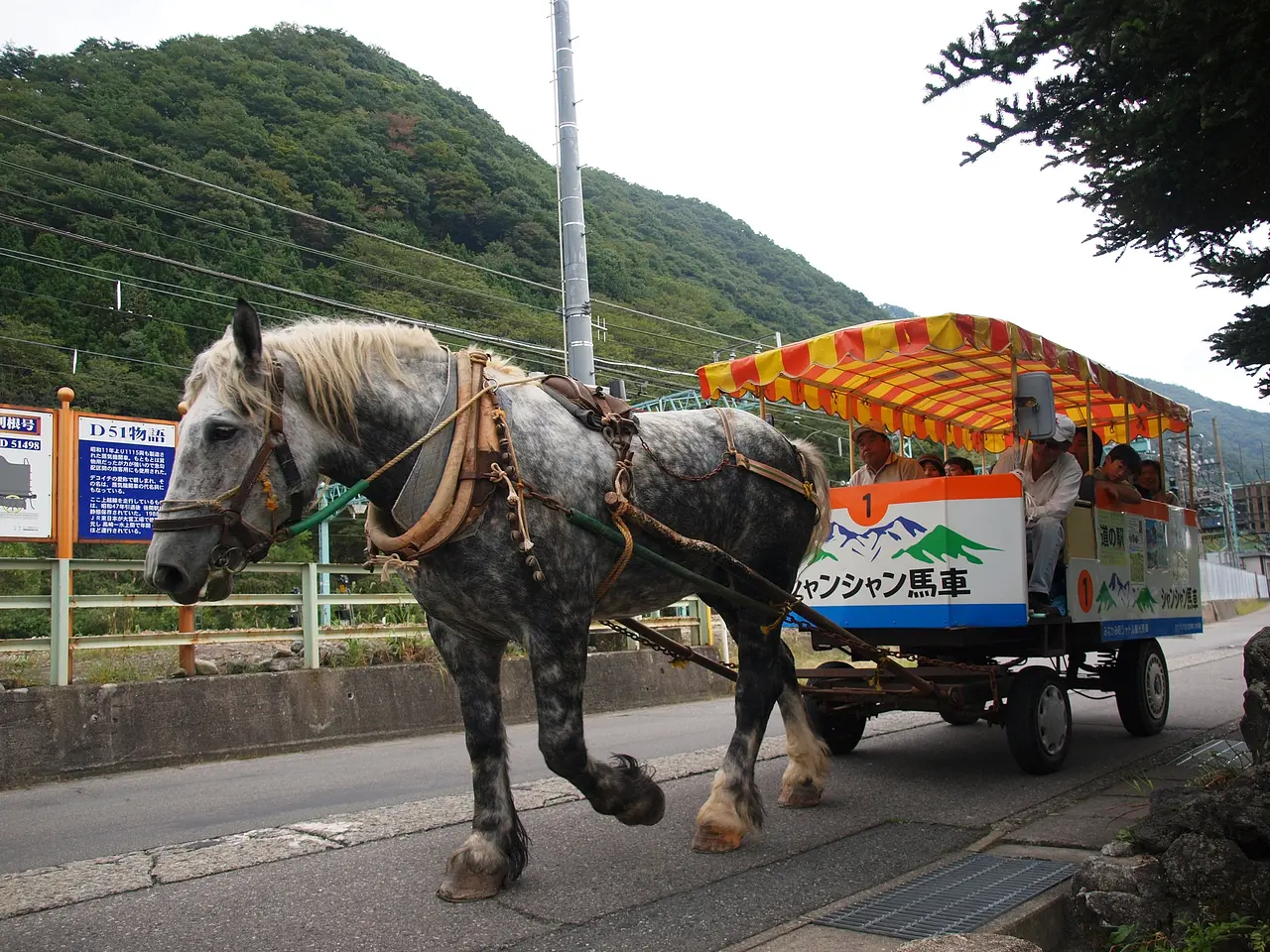 観光遊園シャンシャン馬車（みなかみ町）