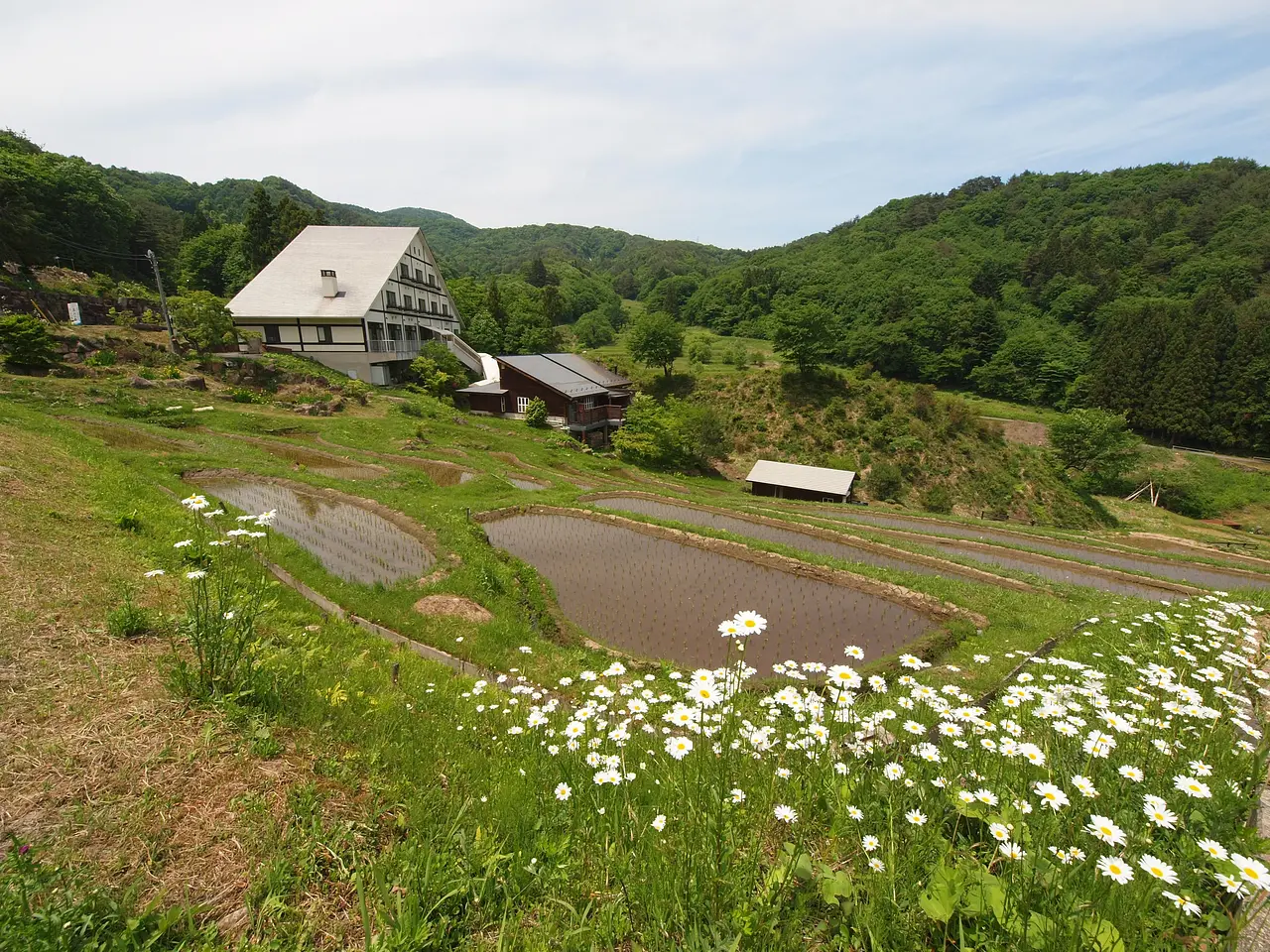 真沢の森と棚田（みなかみ町）