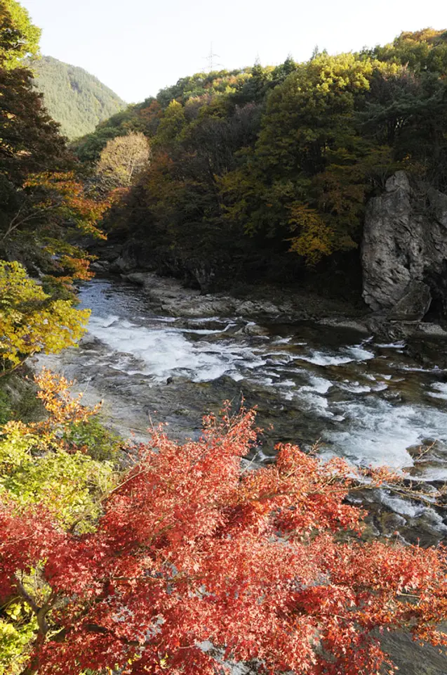 諏訪峡　紅葉（1）（みなかみ町）