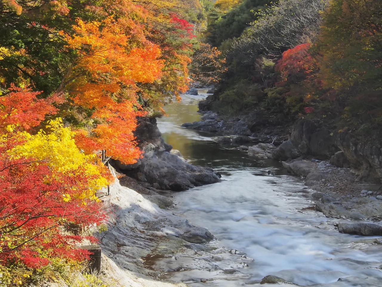 諏訪峡　紅葉（3）（みなかみ町）