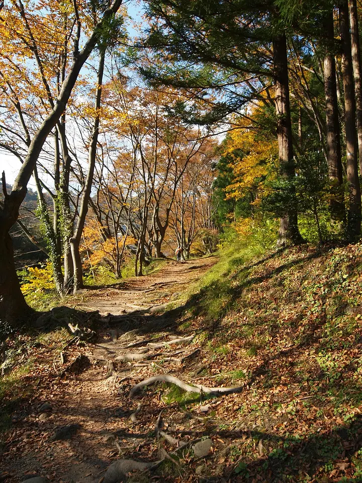 諏訪峡　紅葉（4）（みなかみ町）