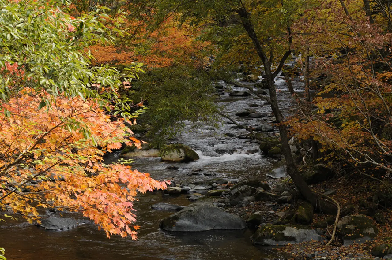 照葉峡　紅葉（1）（みなかみ町）