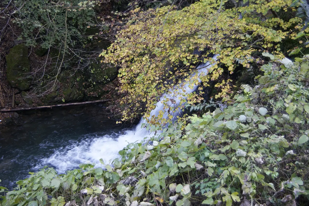 神流七滝　逢瀬の滝（神流町）