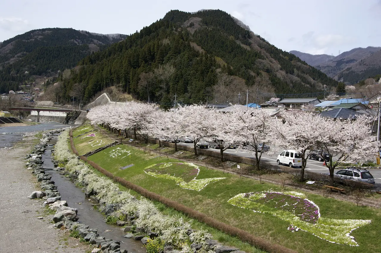 神流川河川敷　桜（神流町）