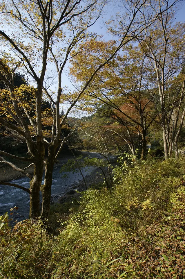 神流町　紅葉（2）（神流町）