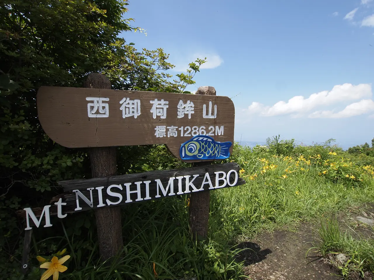 西御荷鉾山・キスゲ（1）（神流町）