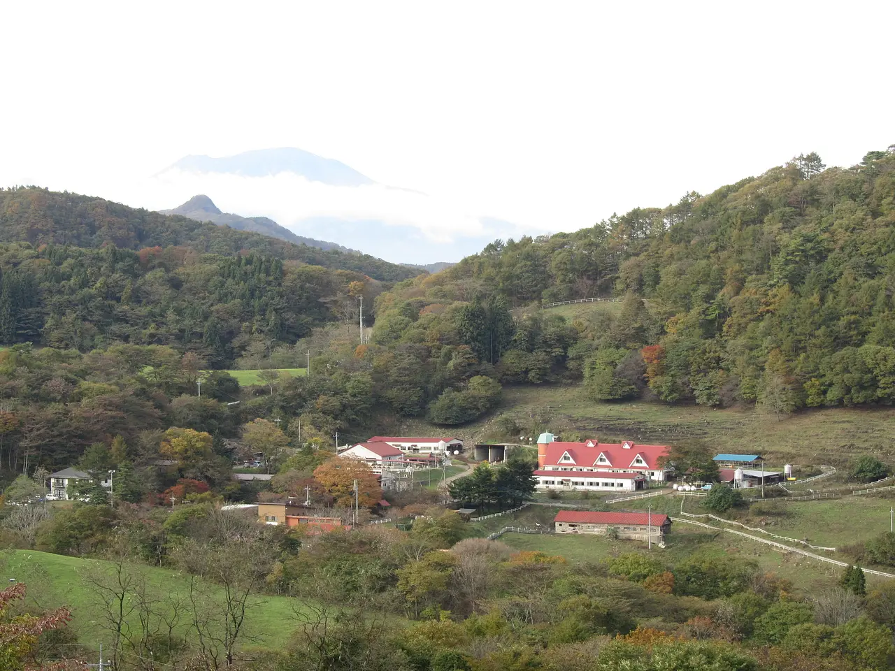 神津牧場（1）（下仁田町）