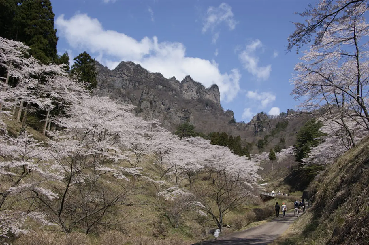 県立森林公園　さくらの里（1）（下仁田町）