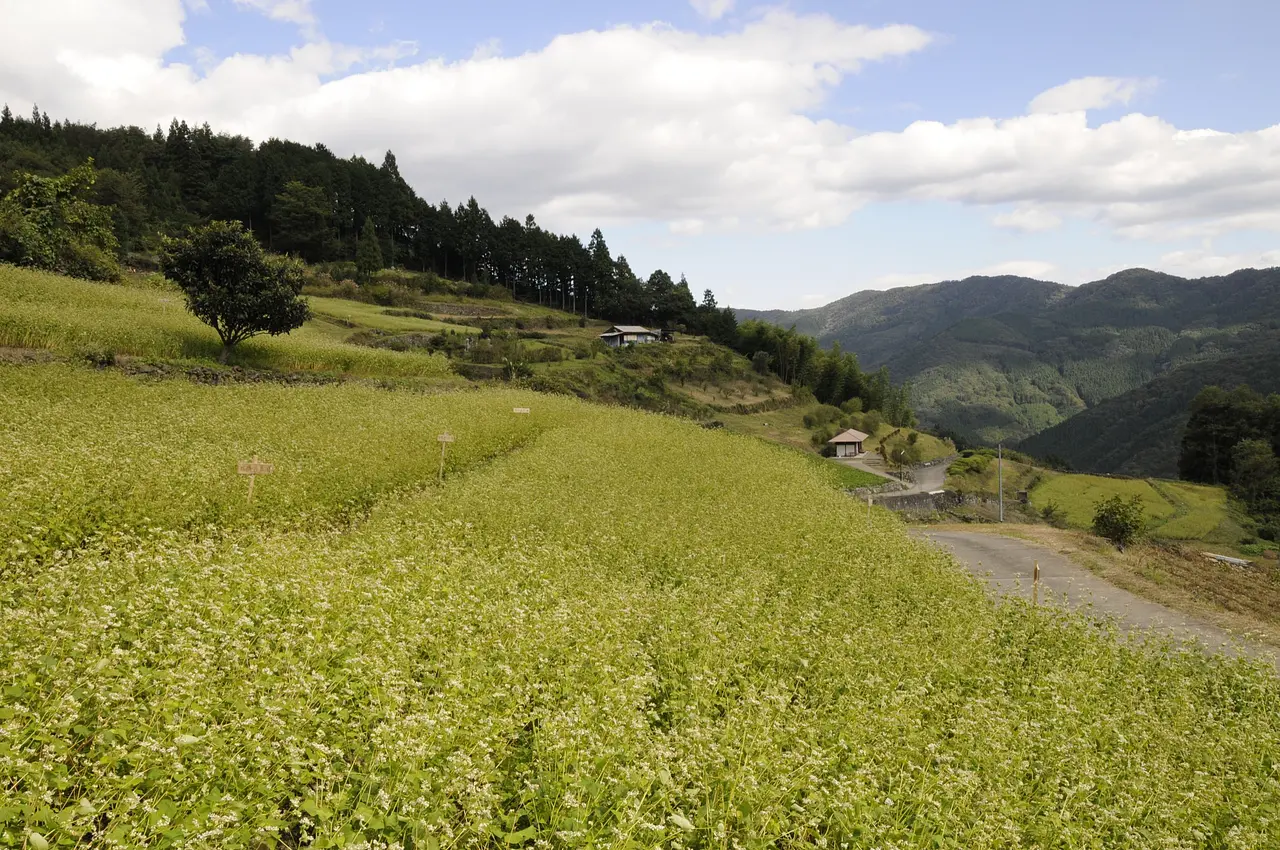 ちぃじがき蕎麦の里（1）（甘楽町）