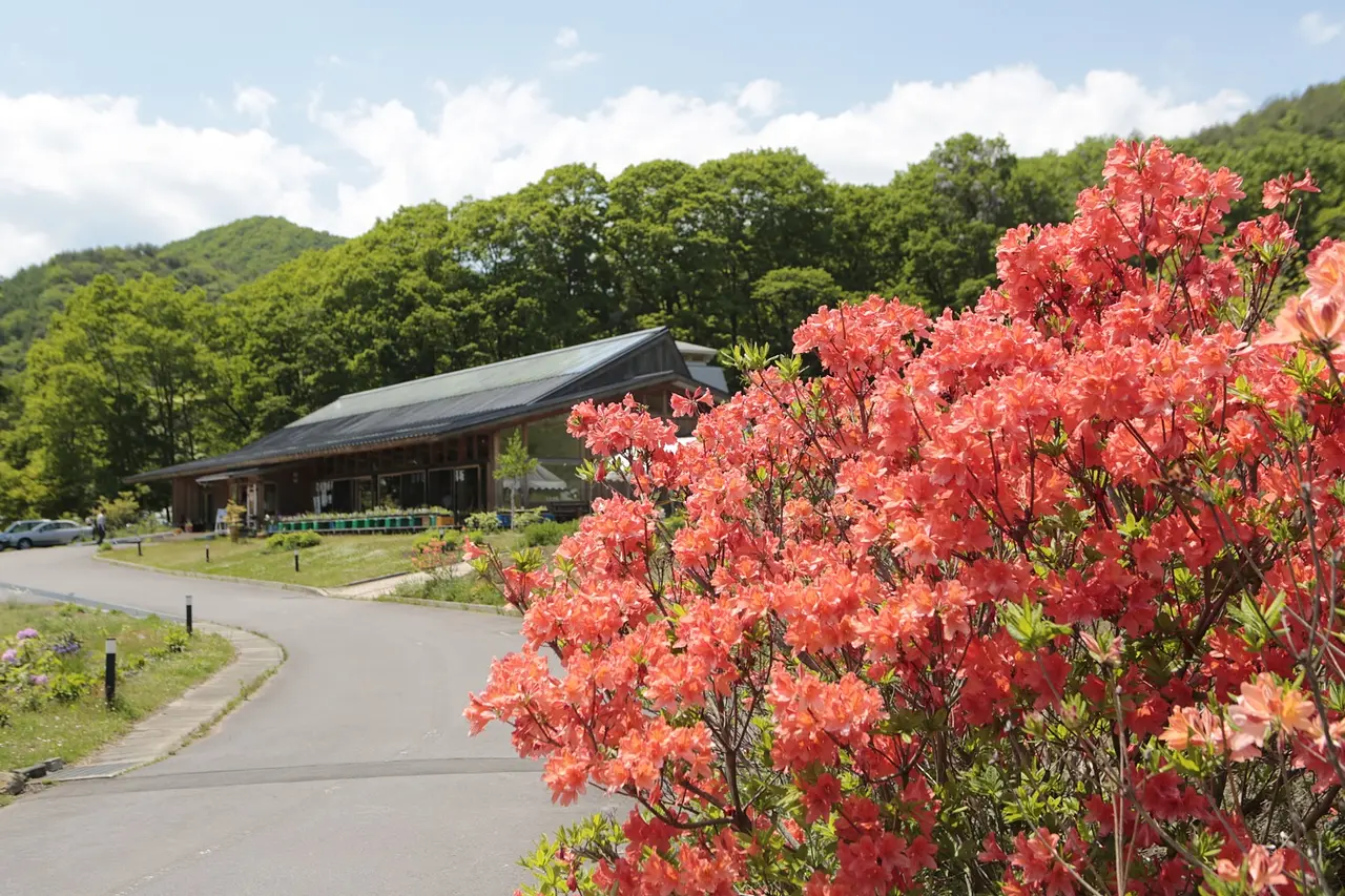 中之条山の上庭園（中之条町）