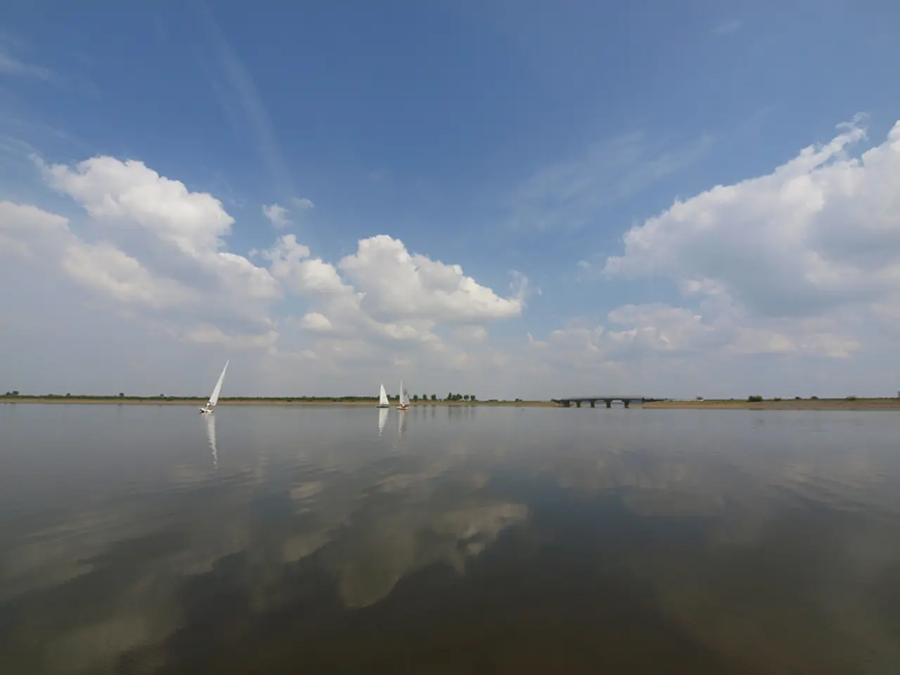 渡良瀬遊水地（1）（板倉町）