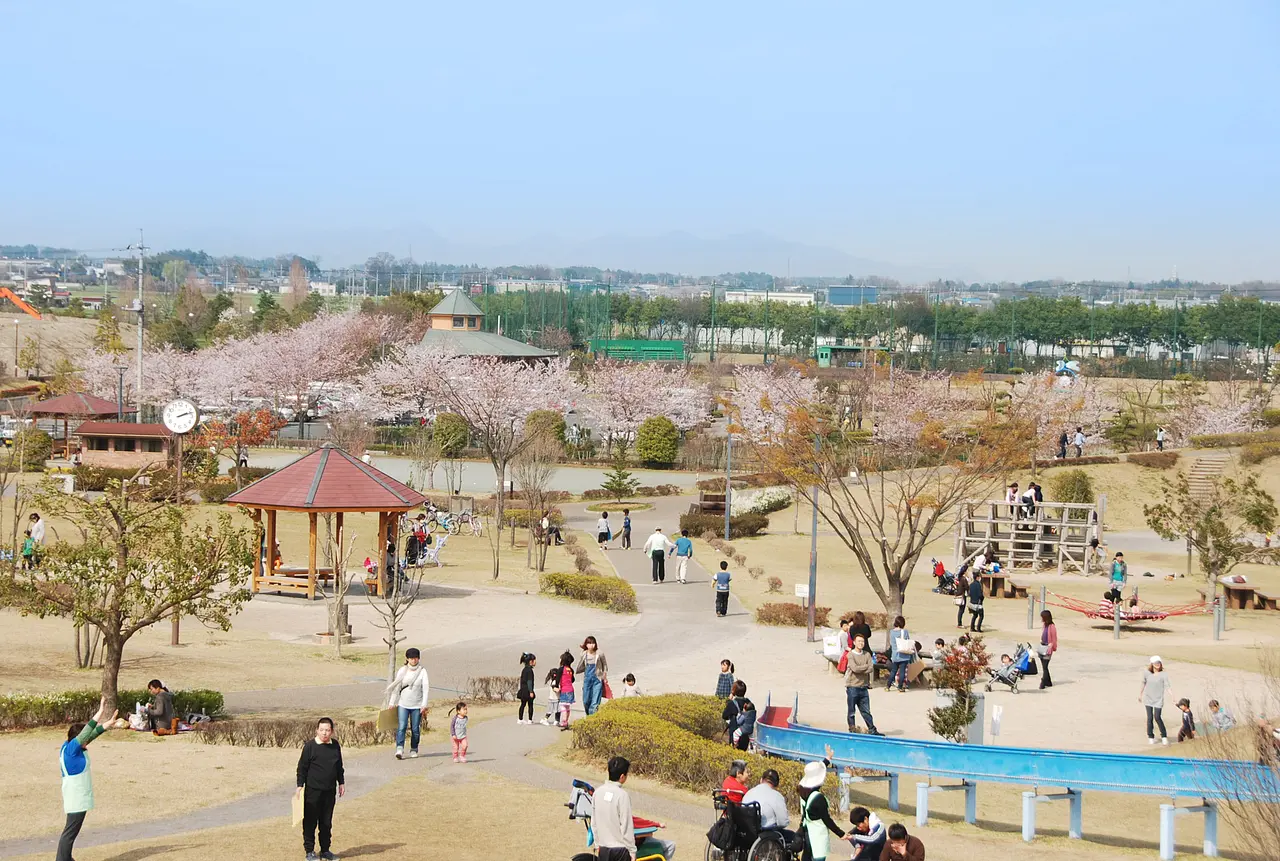 第一三共なかさと公園（千代田町）