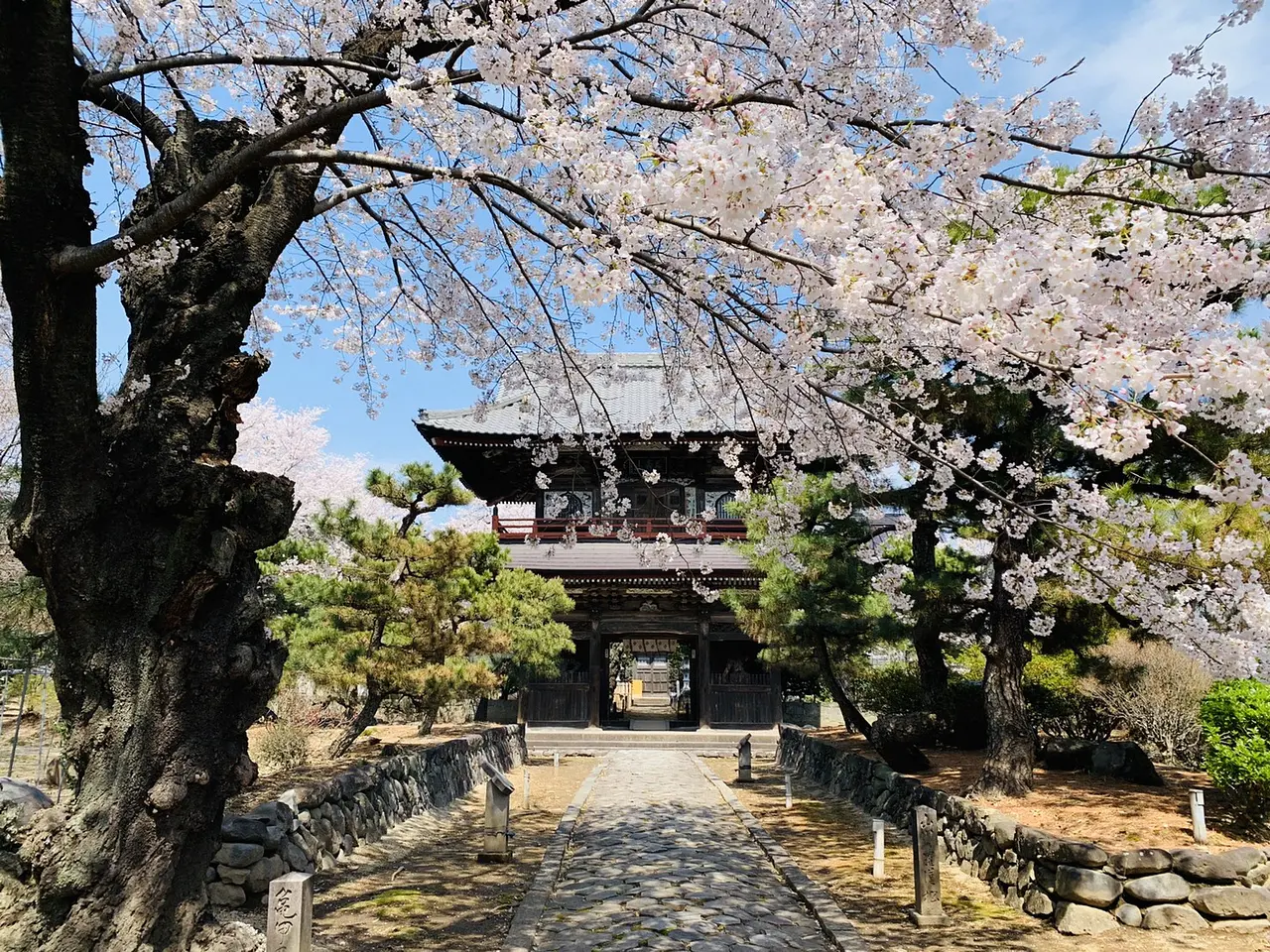 福増寺（1）（渋川市）