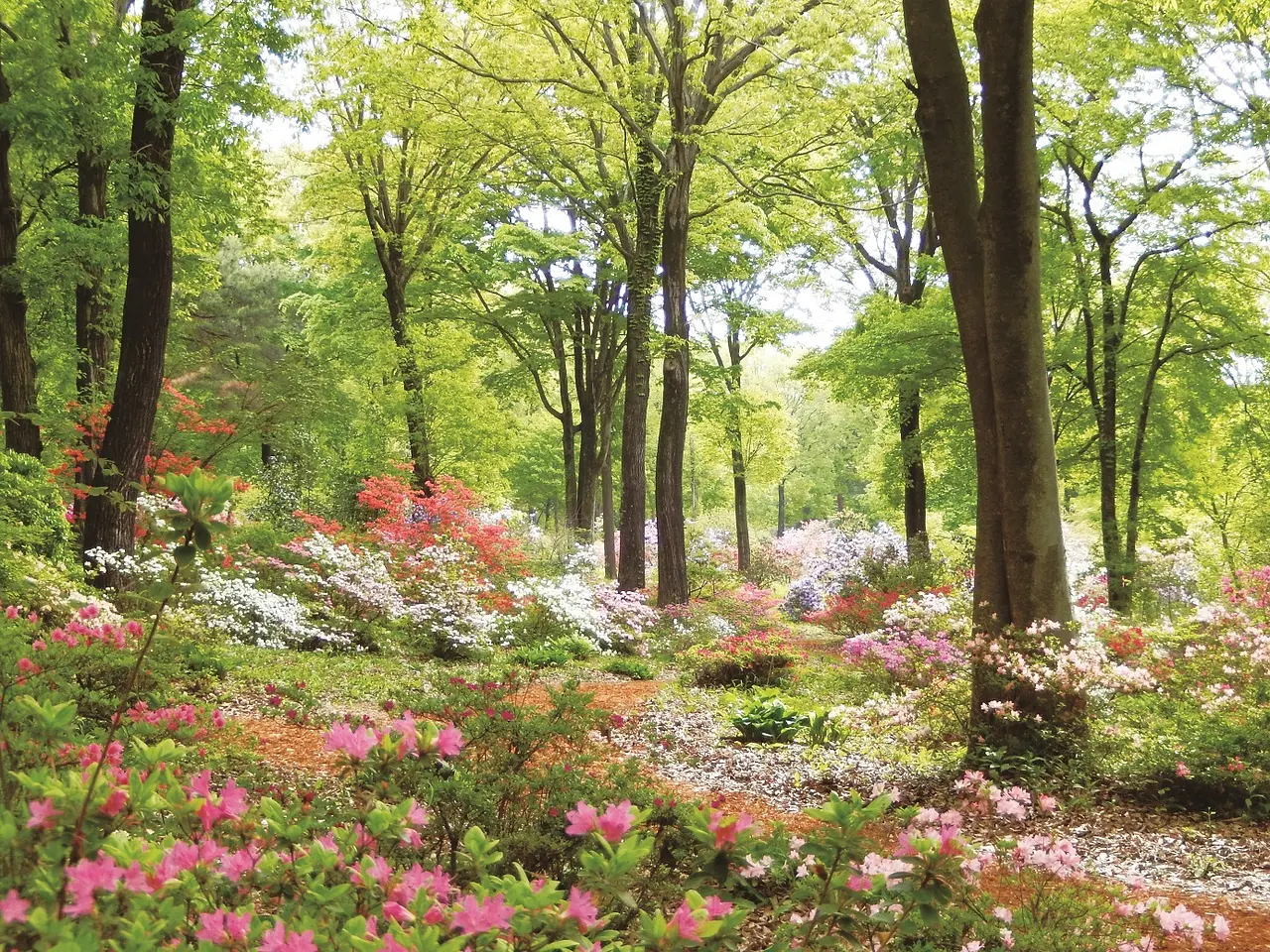 赤城自然園（渋川市）