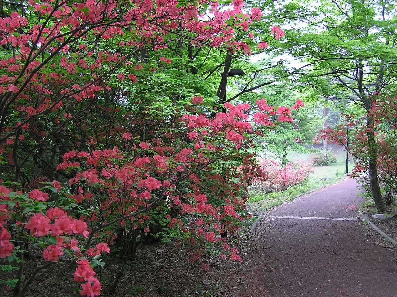 上ノ山公園（渋川市）