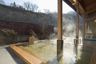 南郷温泉　しゃくなげの湯